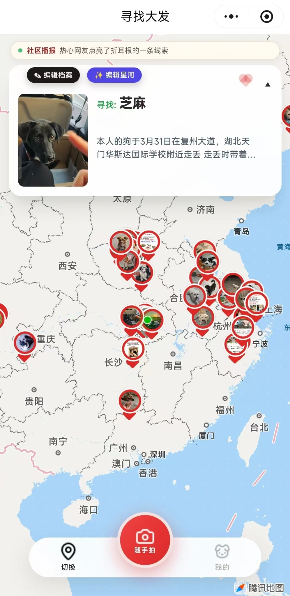 寻找大发小程序：宠物档案、地图线索、社区播报与随手拍入口